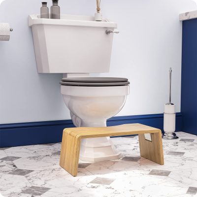 Toilet Potty Stool