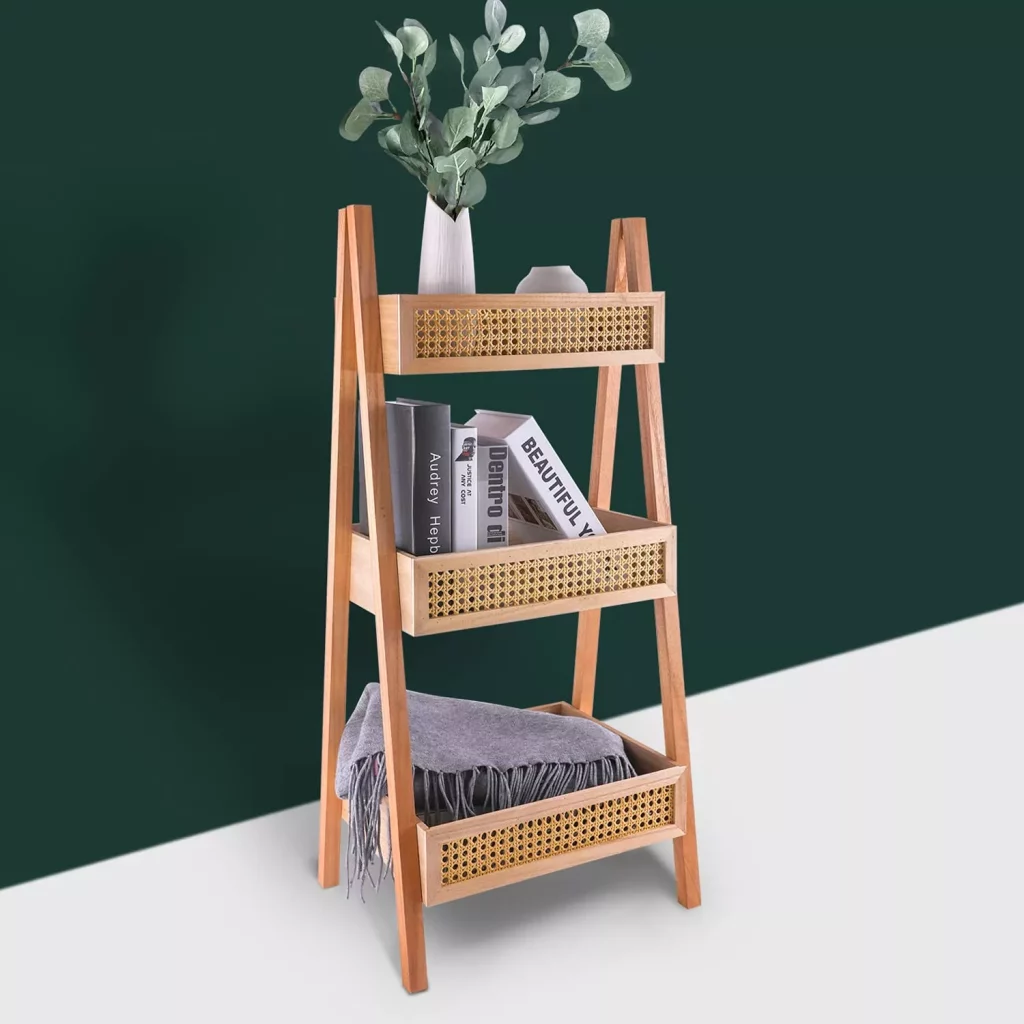 Ladder Bookshelf