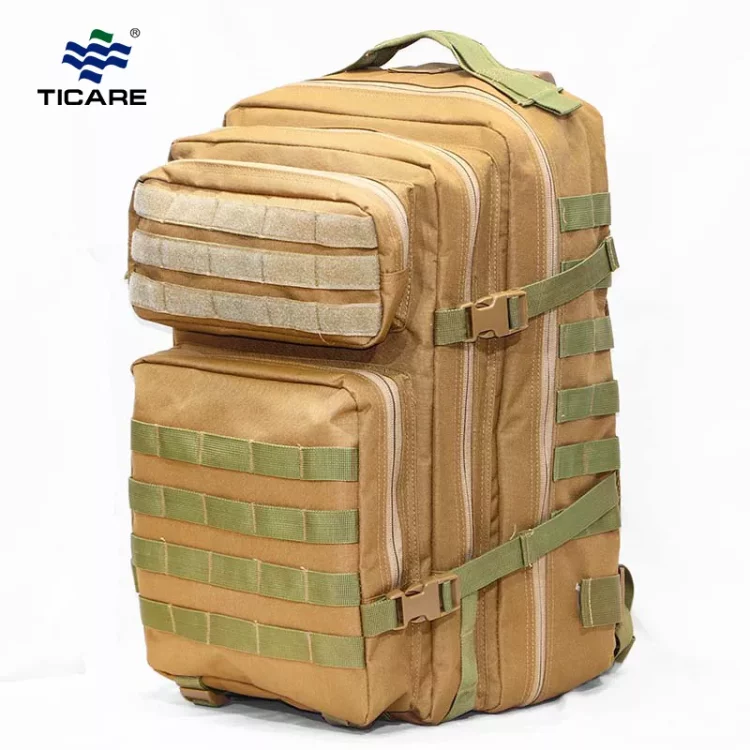 ticare_20241127060811