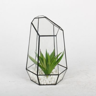 htb1-3x5dl6tbknjszjiq6zkvfxaq-496