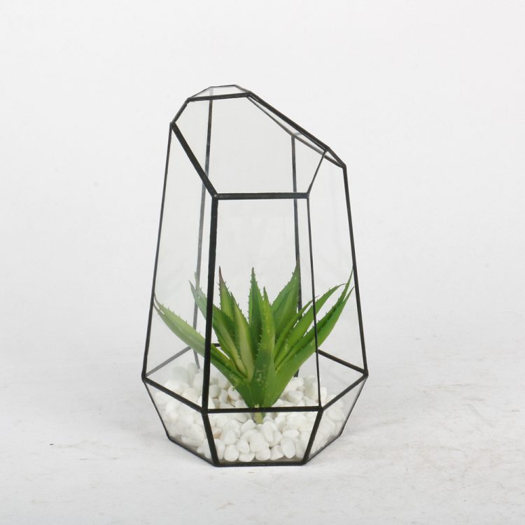 htb1-3x5dl6tbknjszjiq6zkvfxaq-496