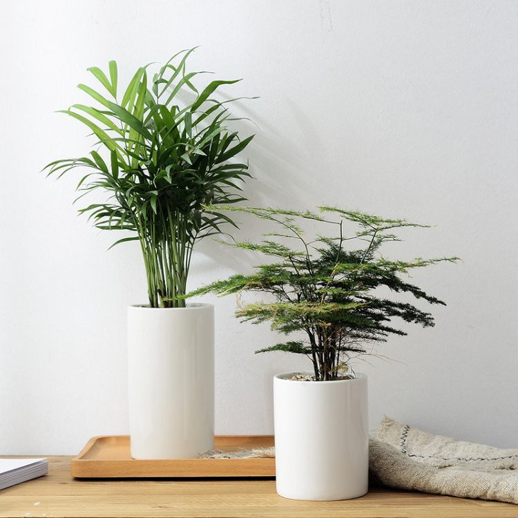 H1dce35a74bcf4392989750ee4cb877d6X_20240528115646_377