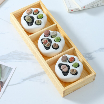 H1f8aa252cc8a45c9aeabcaac5998ea38U_20240520101319_411