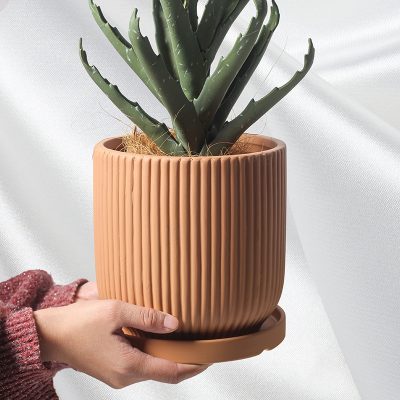 H207c45f5f81b433eafd8dcd92dde4056N_20240531133608_149