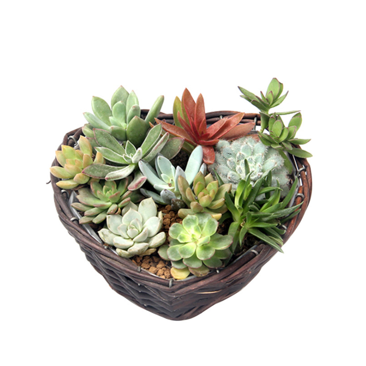 H313a239330284e40b55d7afd6172a6c7C_20240516111734_983