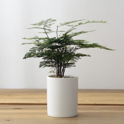 H42fc2d79f77d479c9866cc2b20490539I_20240528115649_166