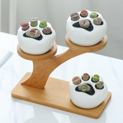 H7b9dd1891b19425a9b487e0784360b74d_20240520101317_21