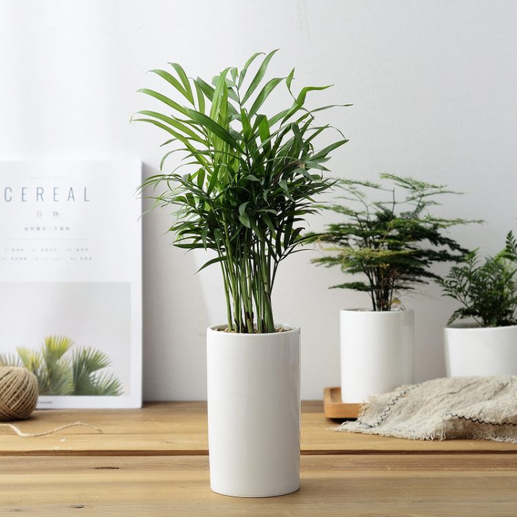 Hbd7fb8760ce8453ca09f44f3c2657365r_20240528115648_482