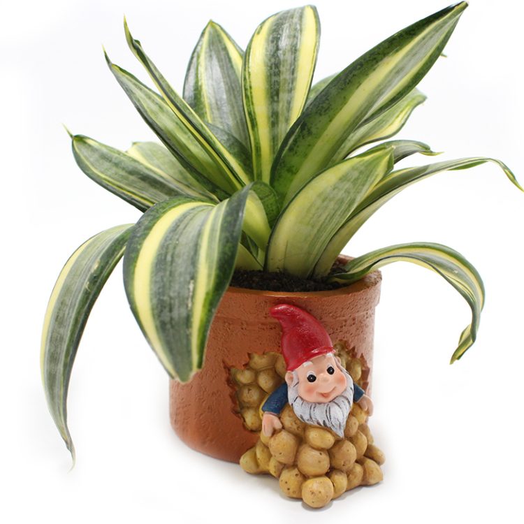 Hc56326479cf54d43a97b2347be6e3463D_20240520100309_115