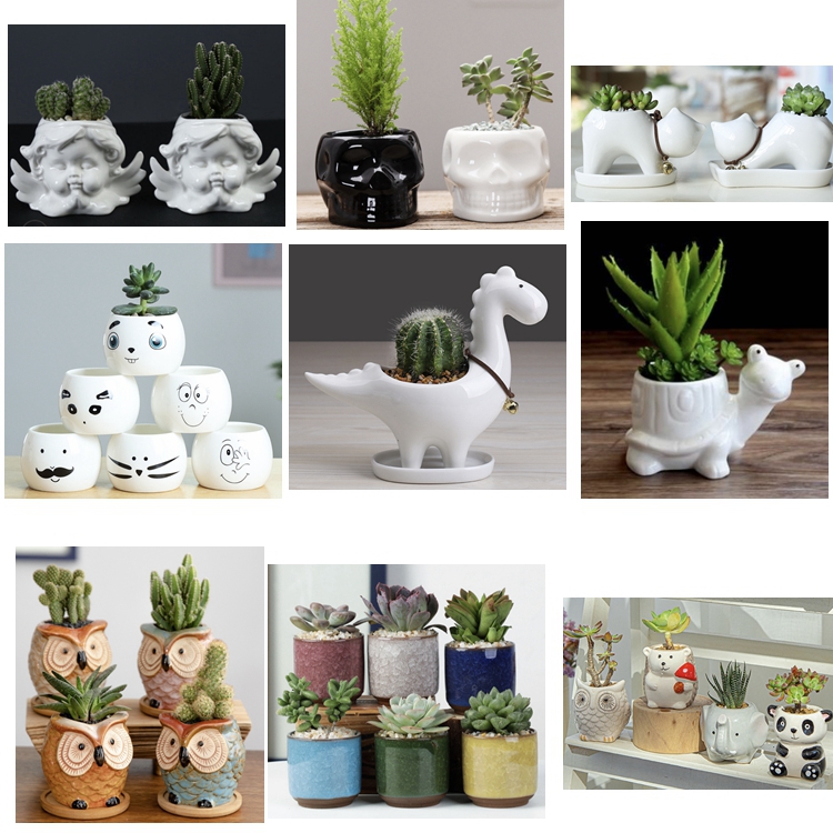 Hc5a8a6b04fc0434ab7d1cf570054e320N_20240520100436_46