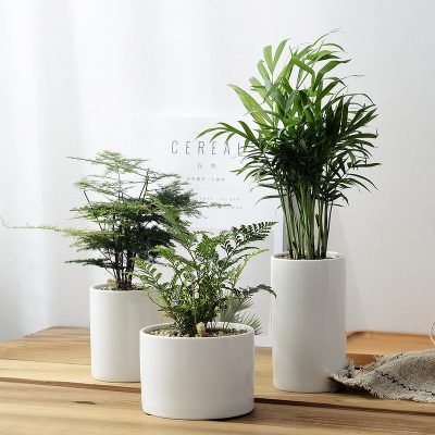 He9c240cfec91401d85d3b6d6327ccc14Z_20240528115647_397