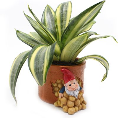 Hfd2b76302ca347dd86d6cc77ca4b6766D_20240520100546_534