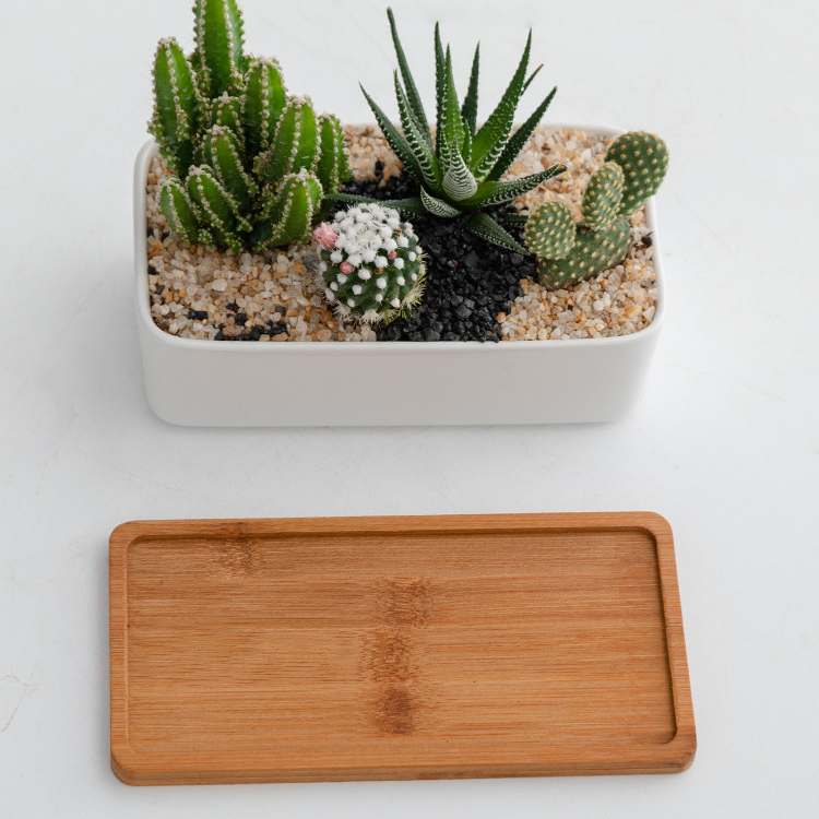 H1bc3f4e3d75d4f08997a37a9e4c0a23cT_20240614110822_941