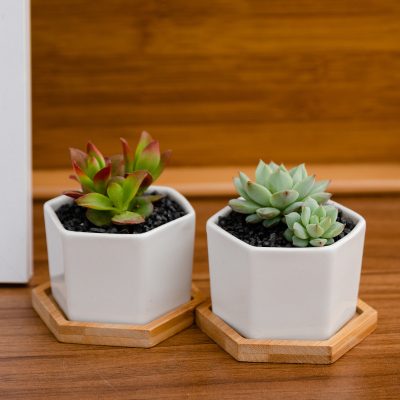 H3e51edf8c29444deac4ad4285bf83b08N_20240614110923_667