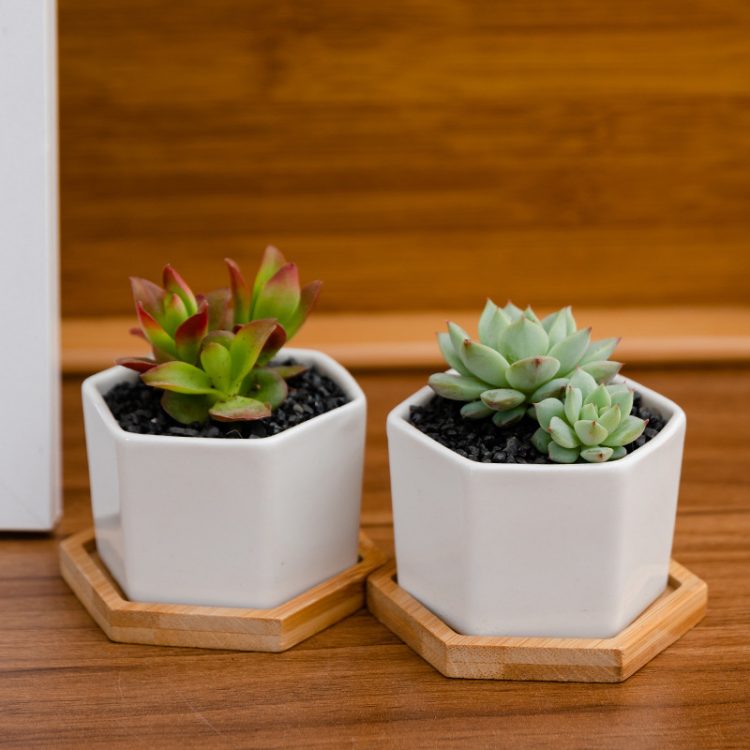 H3e51edf8c29444deac4ad4285bf83b08N_20240614110923_667