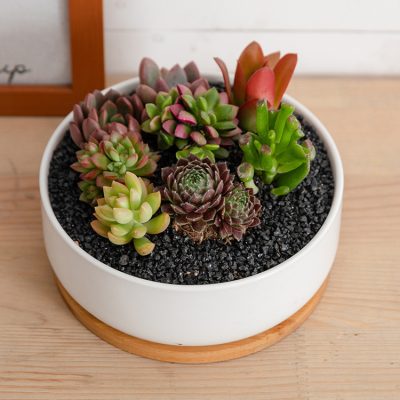 H4c3fab38c8c94f61a7c00ac02ea0a54bF_20240614110818_726