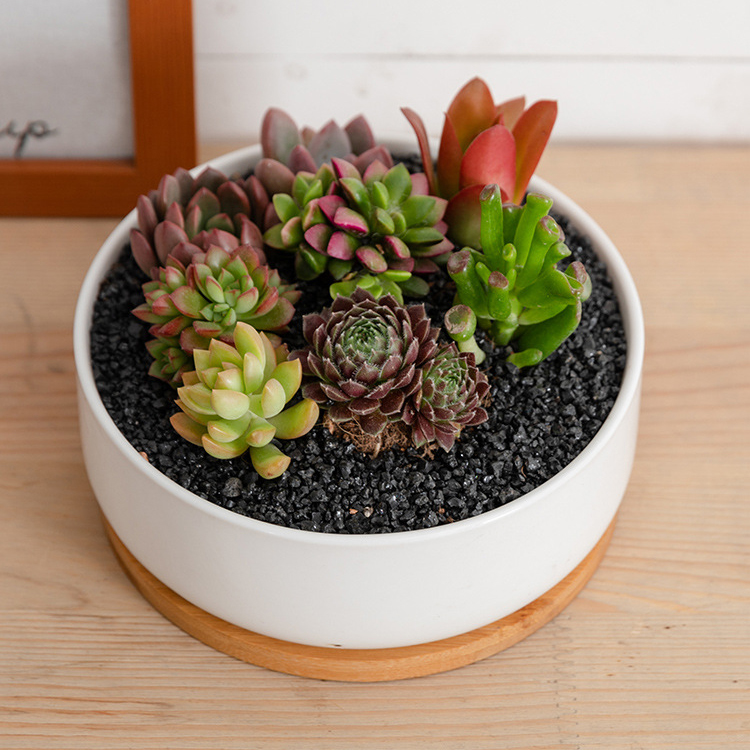 H4c3fab38c8c94f61a7c00ac02ea0a54bF_20240614110818_726