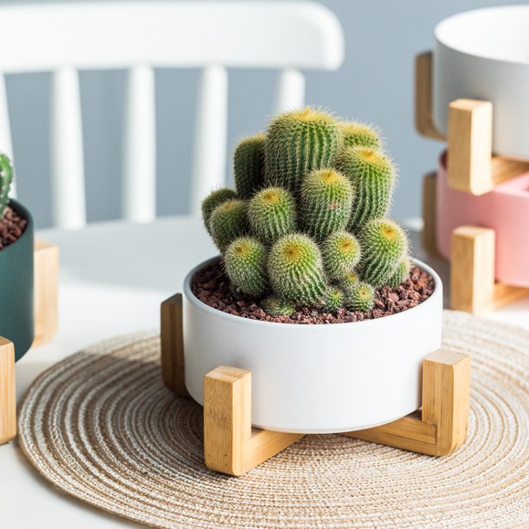 H5b0cb4e421954376b9073a167024dcb2r_20240604104705_976