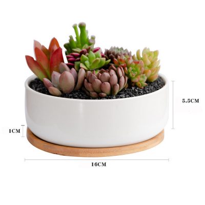 H624a92df45ac4ea99068555d92c02e1cx_20240614110820_405