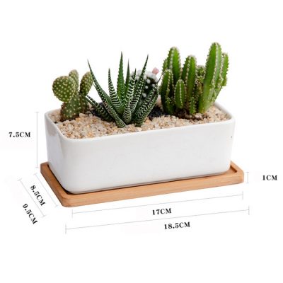 H8adcef02dda2431d9b15b83748702bc8Z_20240614110821_456