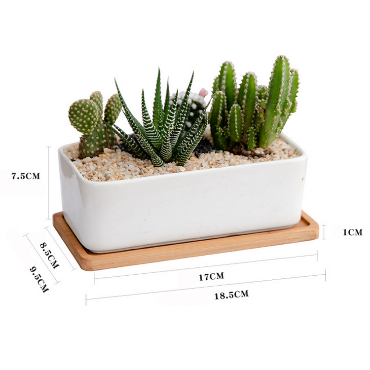 H8adcef02dda2431d9b15b83748702bc8Z_20240614110821_456