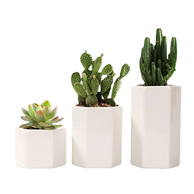 H9f6b1c4ecb4248e0b0477cfd852f4bbdA_20240625115315_833