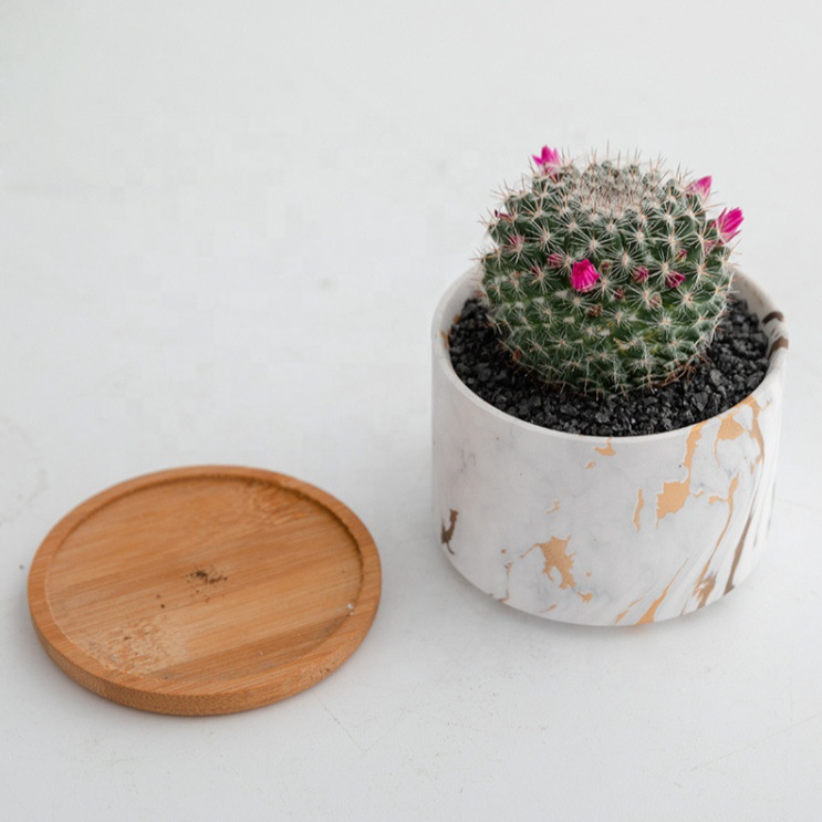 Ha50cafed3dd74616a6dce0d1cf09dc416_20240618102016_953