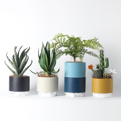 Hbdb1d1de7b2246b18b553f1455924895s_20240613090443_529