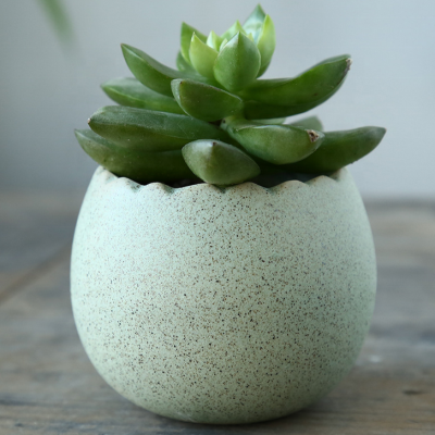 Hd40ddb2d38854dfca8410bb3b9659697d_20240613090614_875