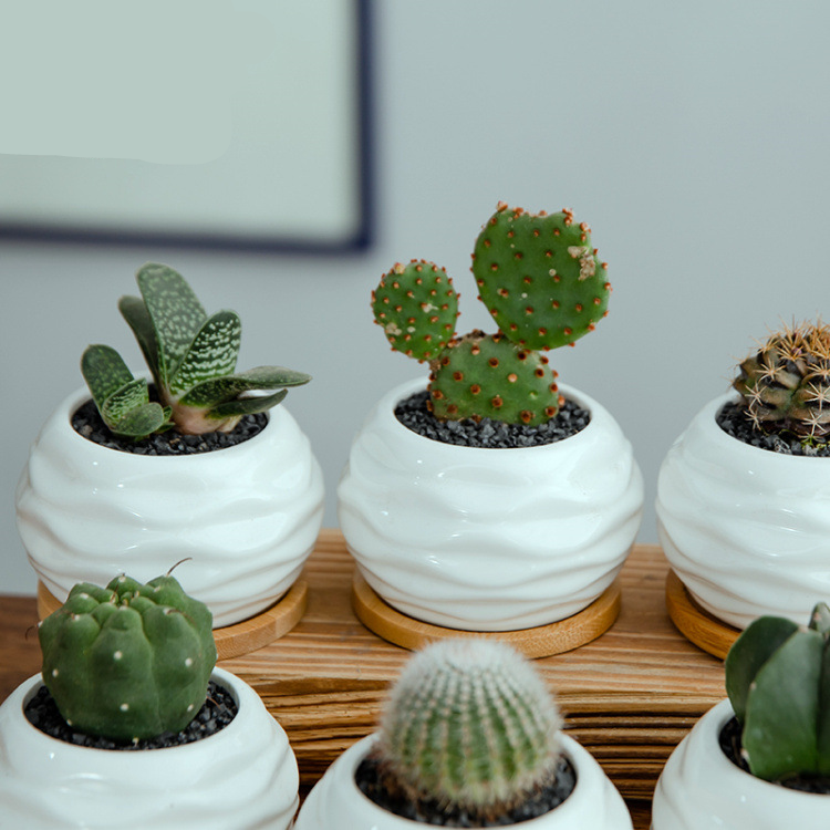 Hebfd0f1e031c4fa7a555b2e5a401bf94i_20240625115254_205