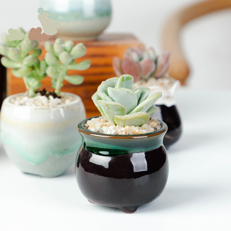 Hf50d92dd2edc428282e6c114e1098d22d_20240619114449_926