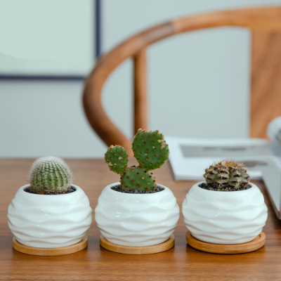 Hfeb61f55d36a43babb07218abafc5bf5N_20240625115255_468