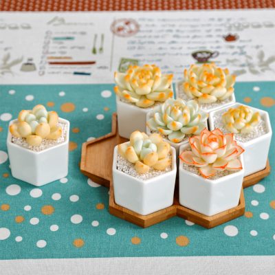 H0739f773428449e49ffa4d607a46c624v_20240703110436_976