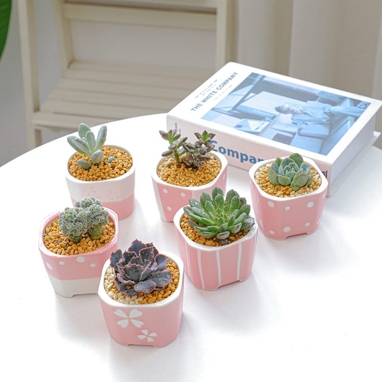 H1718d5f798b942cd872b2268931b72fbg_20240702163636_353