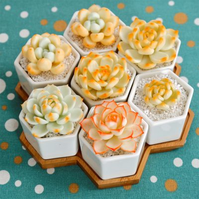 H2344225761054b8b94ccc130cd9ba95av_20240703110434_14