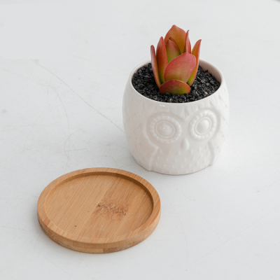 H4ee4fe2f6f0241b7845293c5d457a193M_20240703110407_956