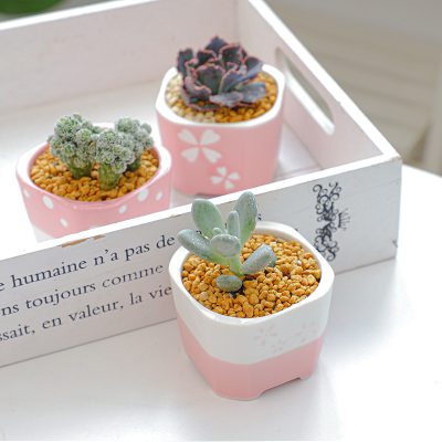 H81b010bf92bc4bcfbfd4065ef68e1ef1e_20240702163639_141