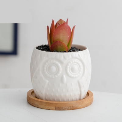 H8364e32e3a204f78added796aa3719a5I_20240703110406_278