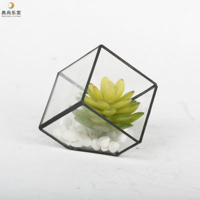 HTB1pinCcbZnBKNjSZFrq6yRLFXab_20240730200100_254