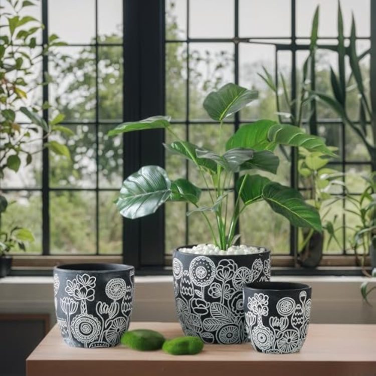 H4b4e1aaea6f44c7e82bcbbe58473754cz_20250305155125_684