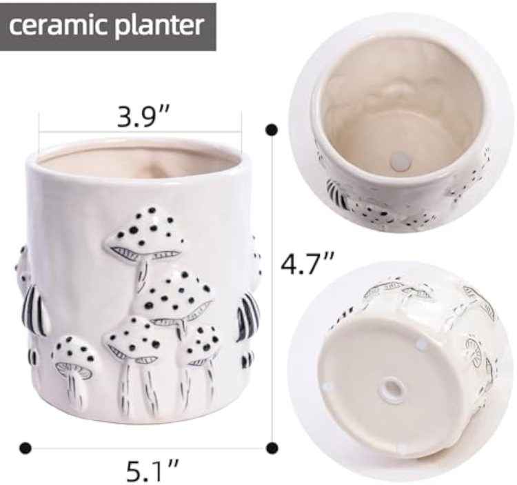 H6350848ba2474563a471323e03201adfU_20250407180303_118